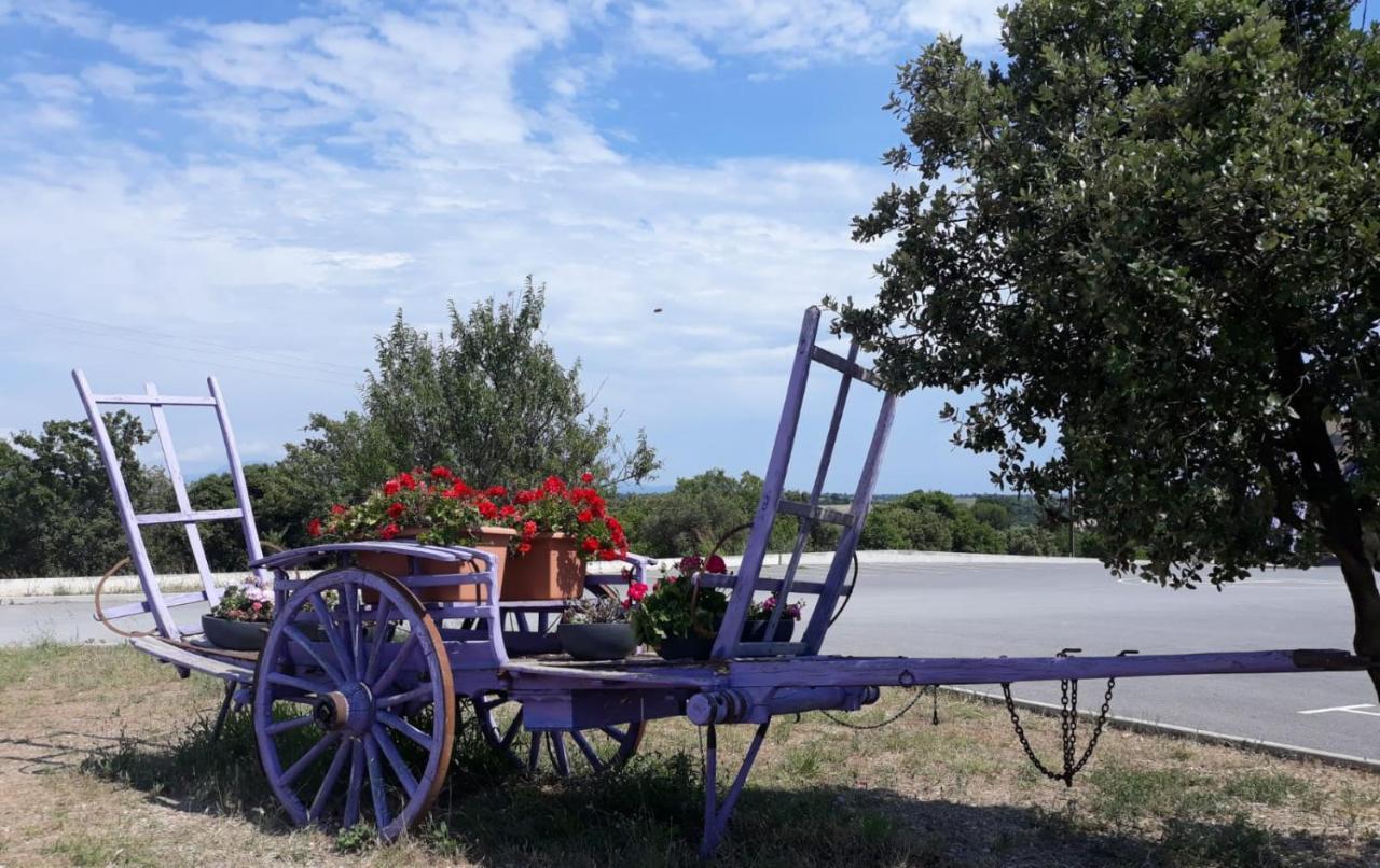 Studio Appart Verdon Allemagne-en-Provence Exterior foto